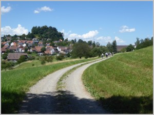 20200701 25 Buchberg.jpg